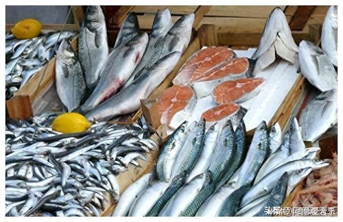 挪威进口日本产三文鱼海产品,重新打标签后发往中国